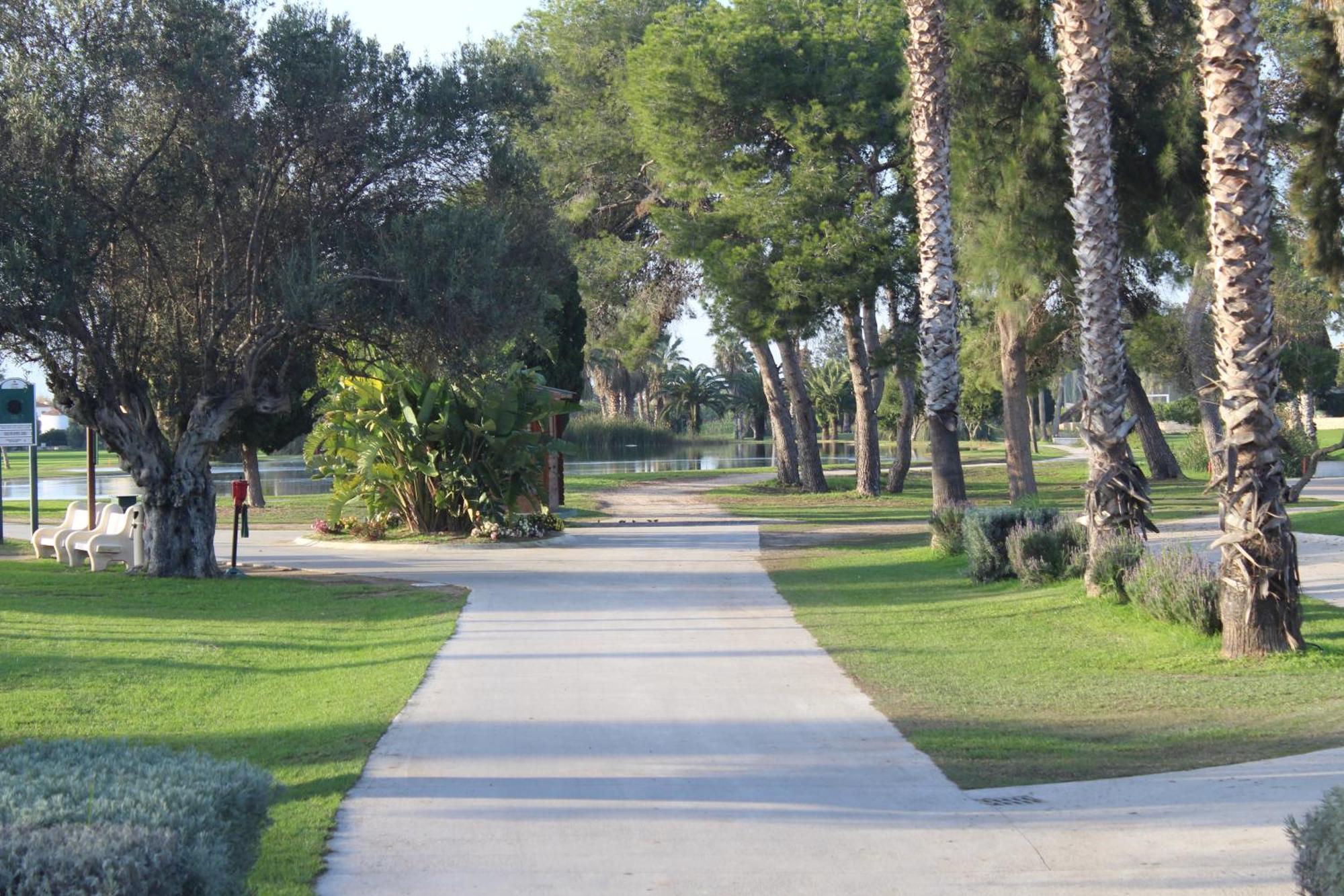 Casa Celidonia , Plage De אוליבה מראה חיצוני תמונה